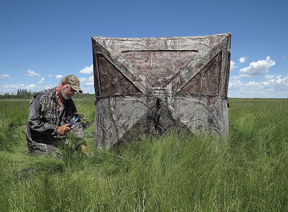 hunting blinds are perfect for wildlife photography