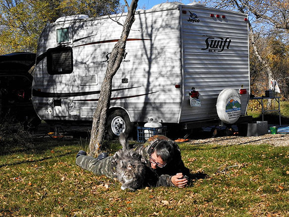 camping with cats