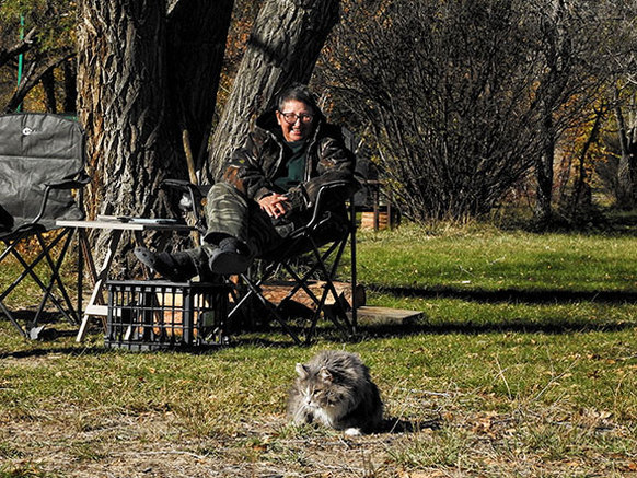 camping with kitties